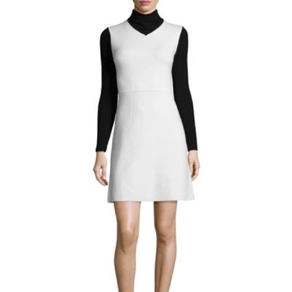 Theory Dress
